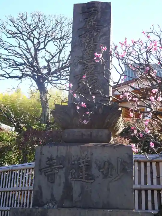 妙蓮寺のその他建物