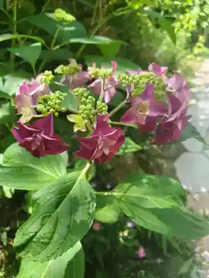 石都々古和気神社(福島県)