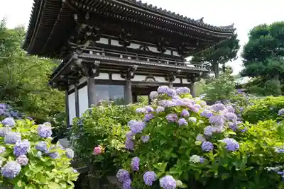 観音寺の山門・神門