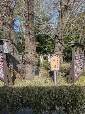 櫻木神社(千葉県)