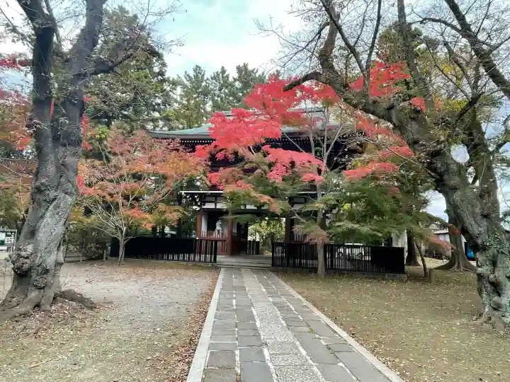 東漸寺(千葉県)