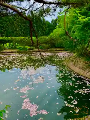 薬莱神社(宮城県)