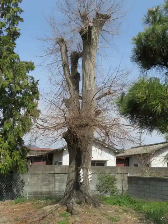 比枝神社の自然