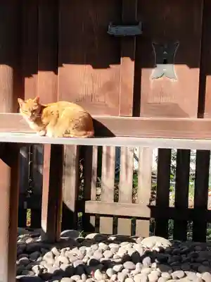 松姤社（熱田神宮摂社）の動物