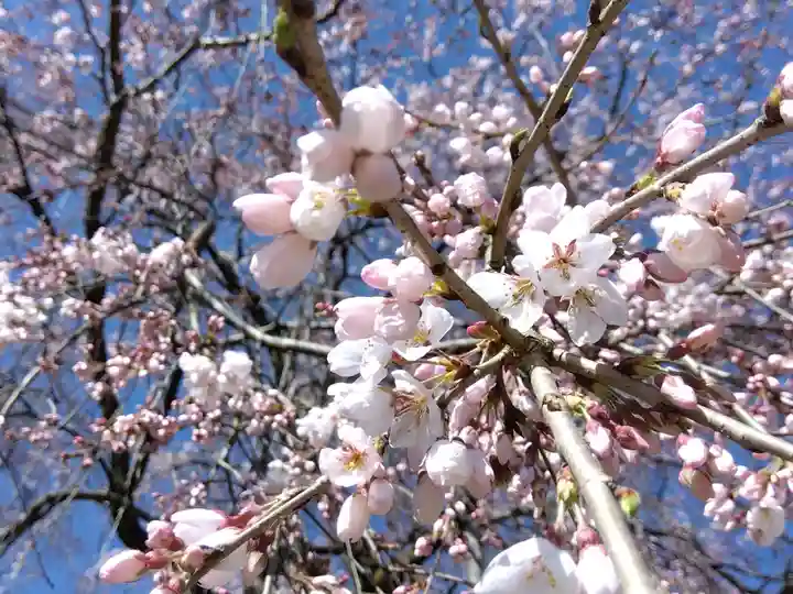 足羽神社(福井県)