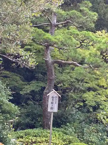 知恩院(京都府)