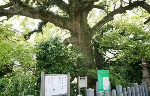 観音寺(愛知県)