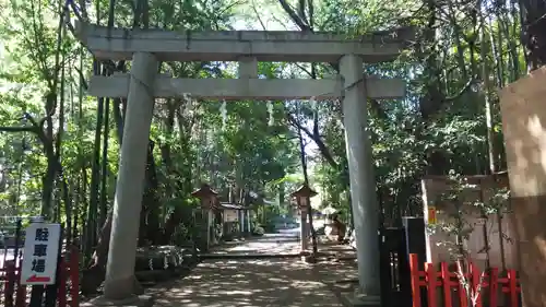 道野辺八幡宮の鳥居