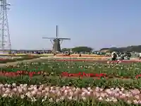 麻賀多神社(千葉県)