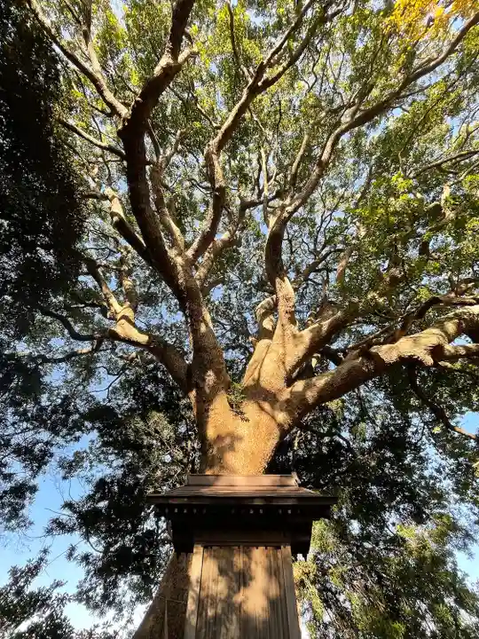 大宮皇神の自然