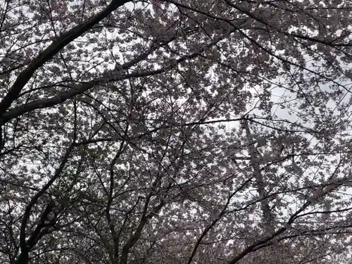 素鵞神社の自然