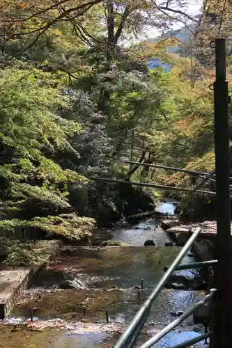 貴船神社の自然