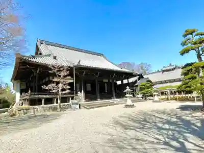 本誓寺(東本誓寺)の本殿・本堂