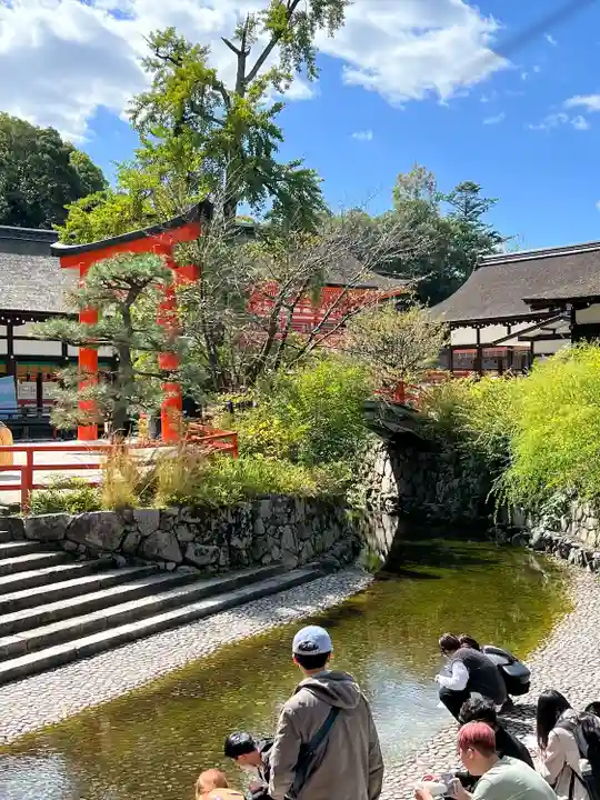 賀茂御祖神社(下鴨神社)(京都府)
