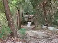 熊野神社の自然