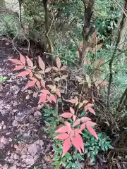 大宮温泉神社の自然