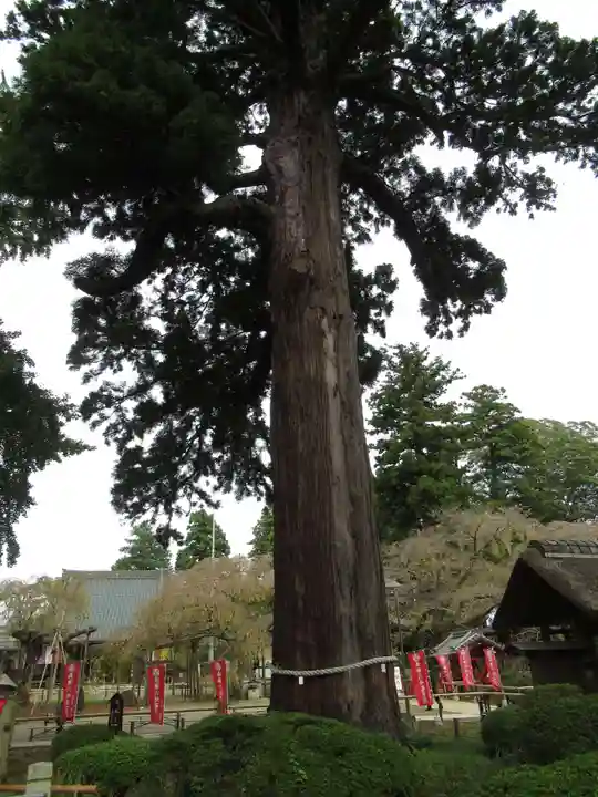 六地蔵寺(茨城県)