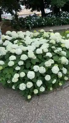 性海寺(愛知県)