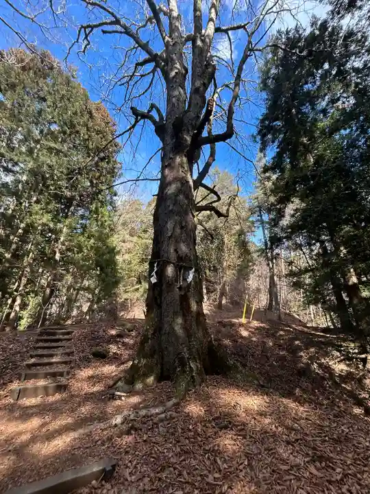 河口浅間神社(山梨県)