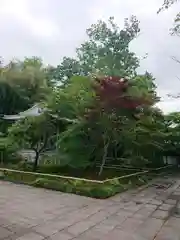 観泉寺の建物その他