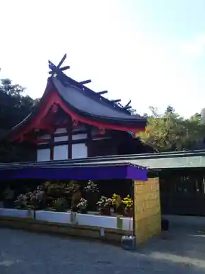 宗像大社の本殿・本堂