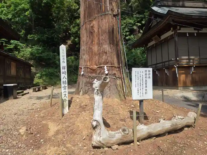 樺崎八幡宮(栃木県)