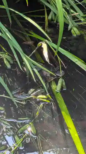 宝蔵寺(京都府)