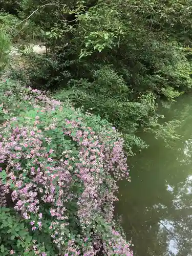 大縣神社の自然
