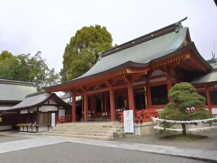 藤崎八旛宮(熊本県)