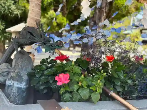 三津厳島神社の御朱印