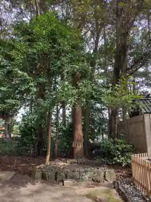 城田神社(三重県)