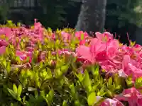 西方山極楽寺(岐阜県)
