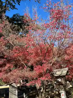 武田神社(山梨県)