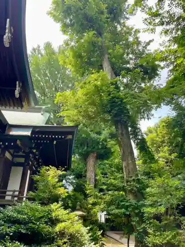 奥澤神社(東京都)