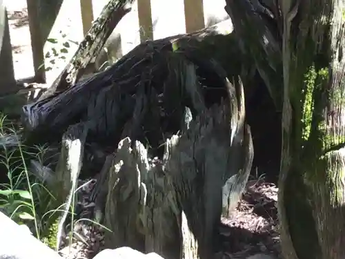 弓削神社(山梨県)