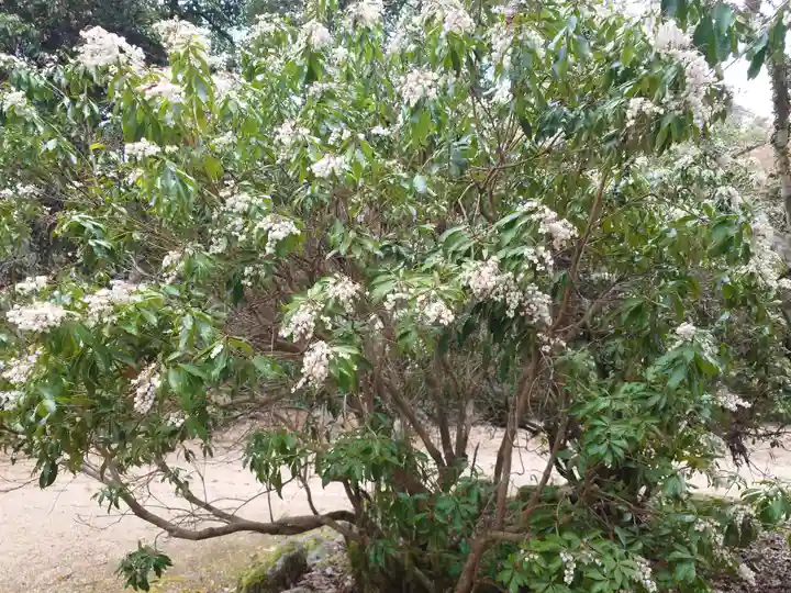 四宮神社(広島県)