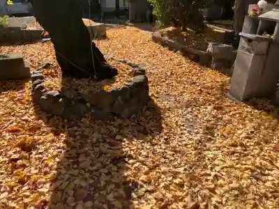 北向山不動院(京都府)