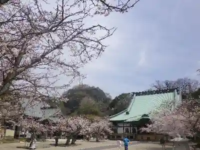 光明寺のその他建物