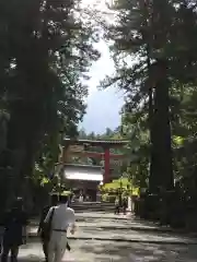 北口本宮冨士浅間神社の鳥居