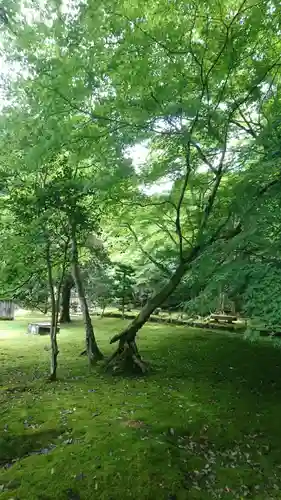 宗鏡寺のその他建物