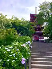 本土寺(千葉県)