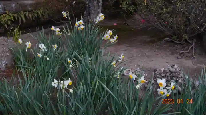 海蔵寺(神奈川県)