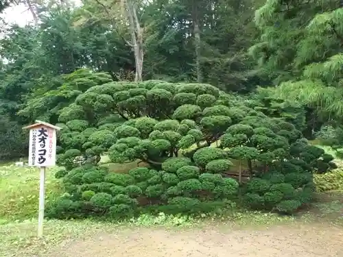 達谷西光寺(岩手県)