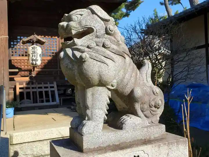 東玉川神社の狛犬