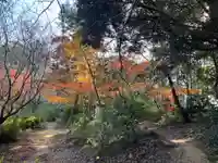 鎮國寺(福岡県)