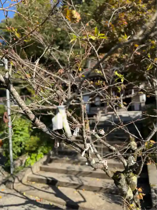金毘羅神社(山梨県)