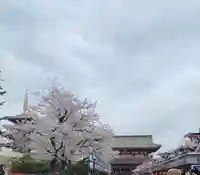 浅草寺(東京都)