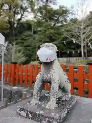 鶴岡八幡宮の狛犬