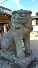 足高神社の狛犬