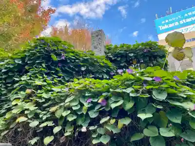 成覚寺(東京都)